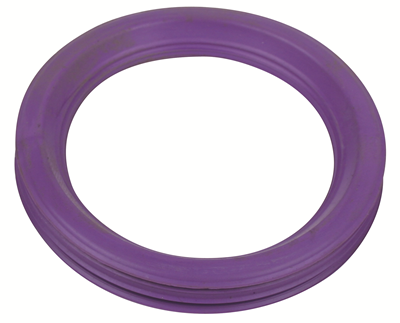 BLUCHER Stainless Steel 2" FPM Sealing Ring Purple (High Temperature Applications)